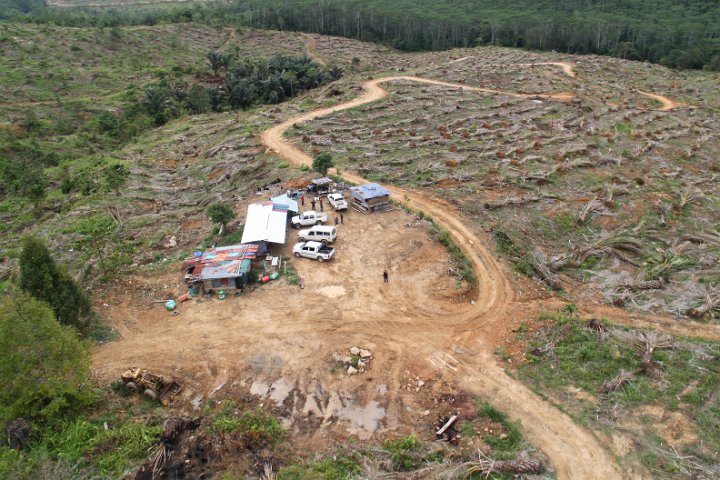 Projek Pemulihan Hutan Simpan Ulu Kalumpang, Cenderamata Landau.JPG